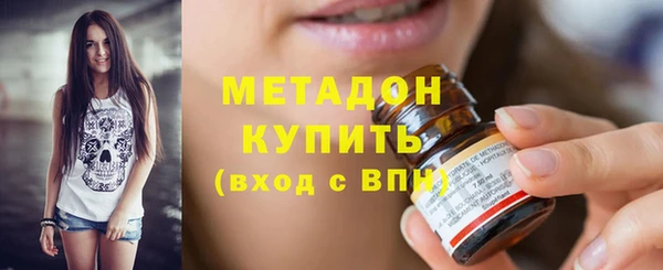 шишки Заволжье