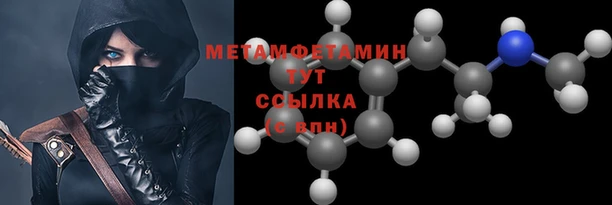 шишки Заволжье