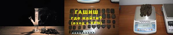 шишки Заволжье