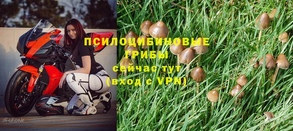 мет Заводоуковск