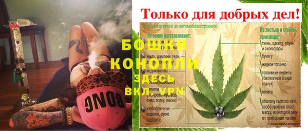 шишки Заволжье