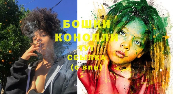 шишки Заволжье
