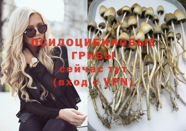 ГАЛЛЮЦИНОГЕННЫЕ ГРИБЫ Зерноград